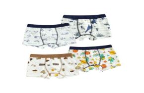Picture for category Boys Innerwear-Bottoms