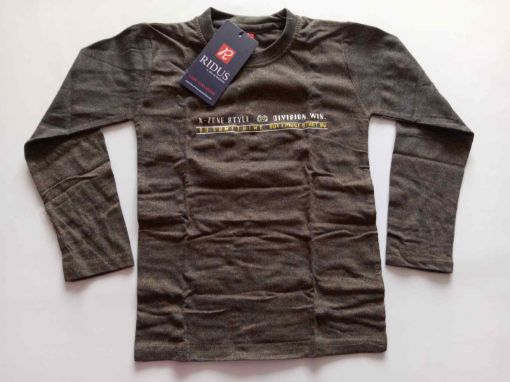 Picture of MDL00508 :: Size:3-4 Years :: Boys Full Sleave T Shirt