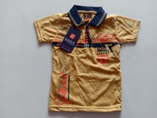 Picture of MDL00298 :: Size:18-24 Months :: Boys T-Shirt (With Collar)