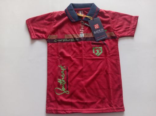 Picture of MDL00298 :: Size:3-4 Years :: Boys T-Shirt (With Collar)