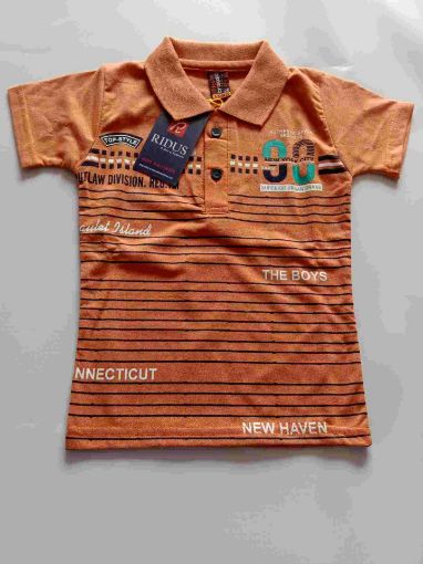 Picture of MDL00298 :: Size:2-3 Years :: Boys T-Shirt (With Collar)