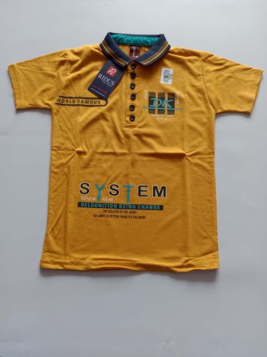 Picture of MDL00298 :: Size:5-6 Years :: Boys T-Shirt (With Collar)