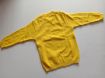 Picture of MDL00721 :: Size:5-6 Years :: Boys Sweater