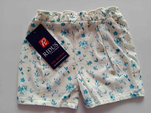 Picture of MDL00049 :: Size:9-12 Months :: Girls Casual Shorts and 3/4th