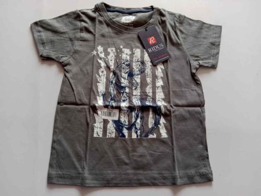 Picture of MDL00236 :: Size:5-6 Years :: Boys T-Shirts