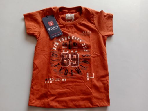 Picture of MDL00507 :: Size:18-24 Months :: Boys T-Shirts