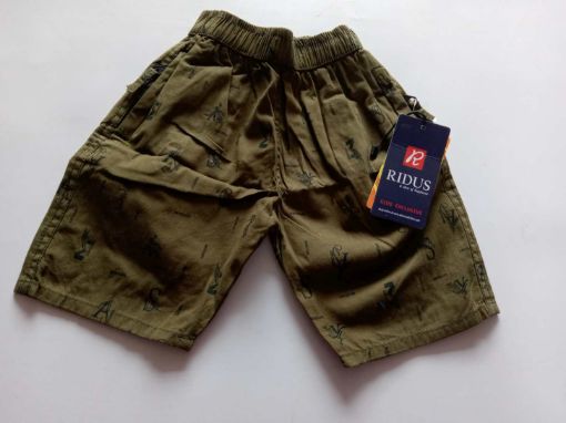 Picture of MDL00913 :: Size:3-4 Years :: Boys Shorts