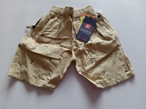 Picture of MDL00913 :: Size:5-6 Years :: Boys Shorts