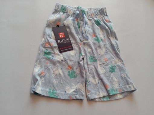 Picture of MDL00049 :: Size:3-4 Years :: Boys Shorts