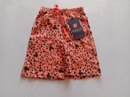 Picture of MDL00049 :: Size:3-6 Months :: Boys Shorts