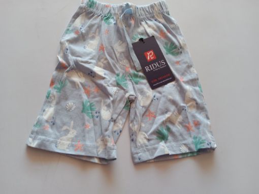 Picture of MDL00049 :: Size:2-3 Years :: Boys Shorts